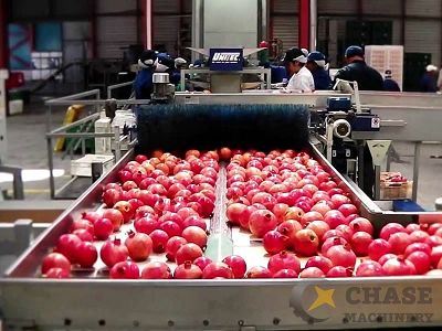 Pomegranate Juice Processing Line